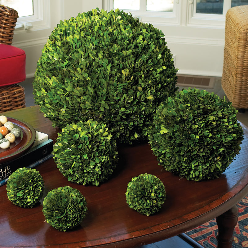 NAPA Home & Garden, BOXWOOD BALL 10",7505PG