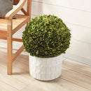 NAPA Home & Garden Boxwood Ball Decor