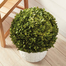 NAPA Home & Garden Boxwood Ball Decor