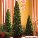 NAPA Home & Garden, BOXWOOD MINI TREES, SET OF 3,7520PG