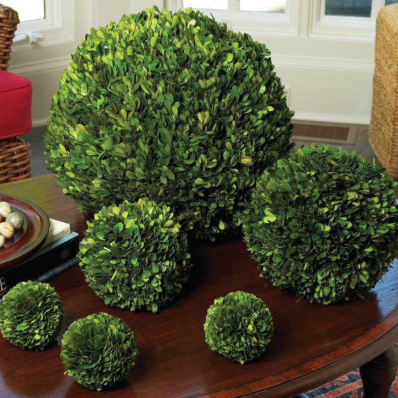 NAPA Home & Garden, BOXWOOD BALL 4",7524PG