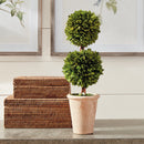 NAPA Home & Garden, BOXWOOD DOUBLE SPHERE TOPIARY