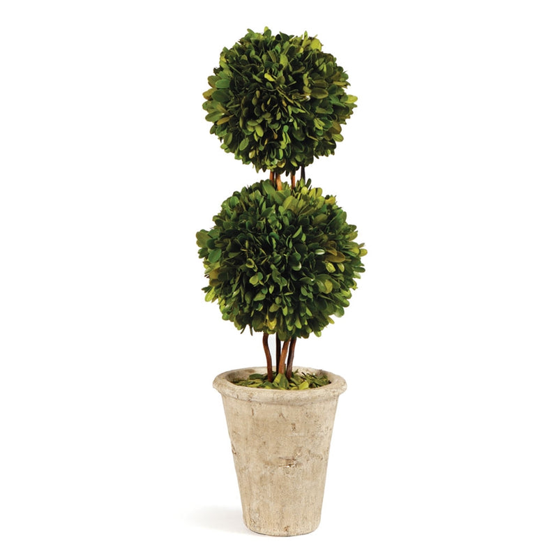 Preserved Boxwood Double Sphere Topiary, 20-Inch