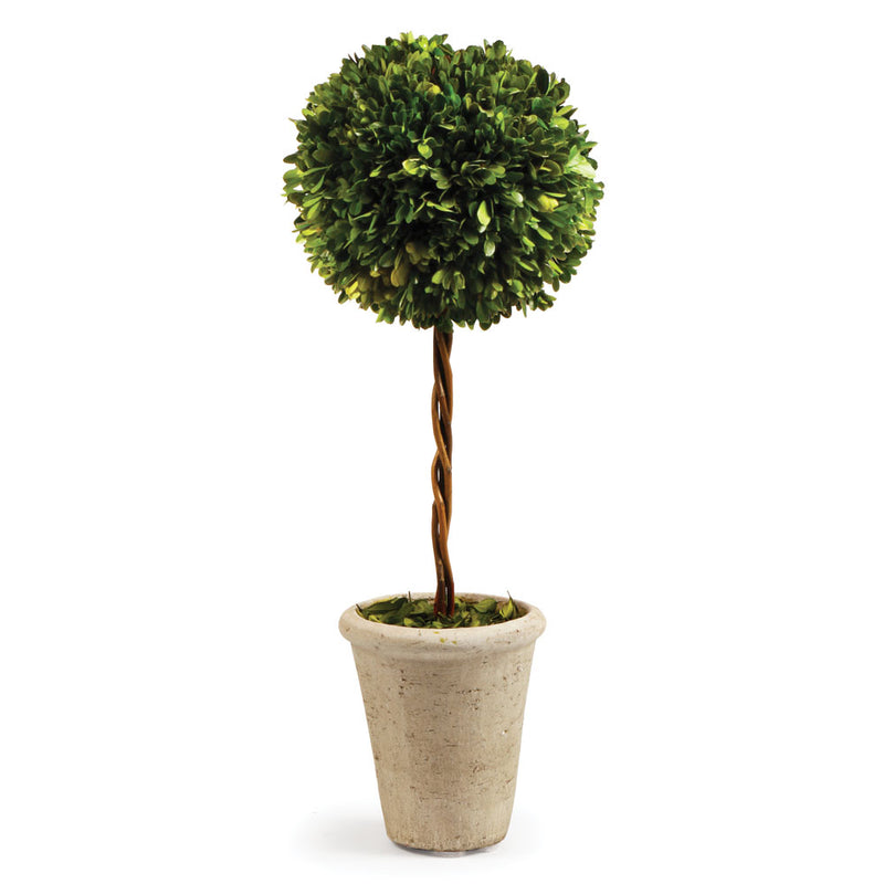 NAPA Home & Garden, BOXWOOD SINGLE SPHERE TOPIARY 23.25",7537PG