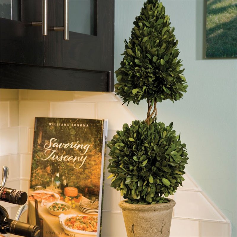 Pg 25" Cone & Ball Topiary