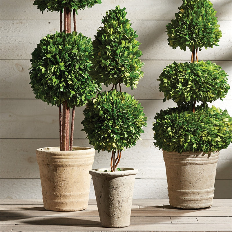 Napa Home Garden, PG 25" CONE & BALL TOPIARY,7538pg