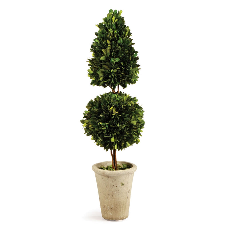 Pg 25" Cone & Ball Topiary