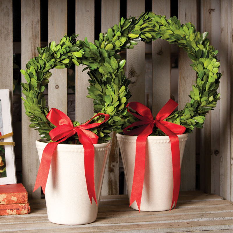 NAPA Home & Garden, BOXWOOD WREATH & RED RIBBON IN WHITE POT LARGE,7575LPG