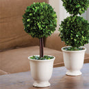 Napa Home Garden, PG TOPIARY IN BEADED WHITE POT,7578pg