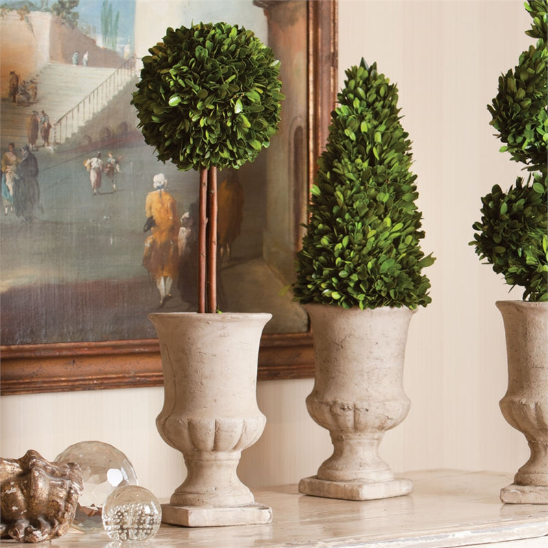 Pg 24' Cone Topiary In Urn