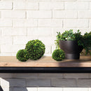 NAPA Home & Garden Boxwood Ball Decor