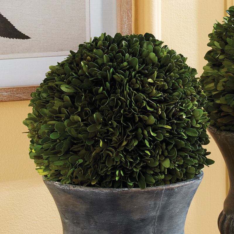 NAPA Home & Garden, BOXWOOD BALL 8",7600PG