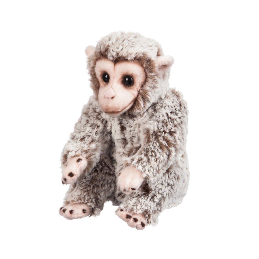 Evergreen Gifts,Monkey 7