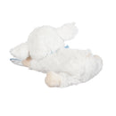 Pray with Me Blue Little Lamb