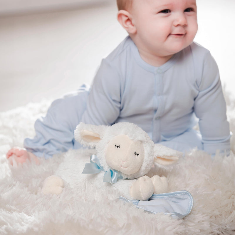 Pray with Me Blue Little Lamb