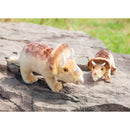 Triceratops 4" Bean Bag,7plsh561