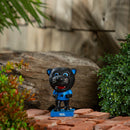 Evergreen Statuary,Lil Big Head Statue, Mascot, Carolina Panthers,5.91x5.12x6.25 Inches