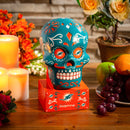 Miami Dolphins, Sugar Skull Statue, Teal,843816skb