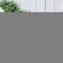 Tampa Bay Lightning, Garden Stack,844375stk