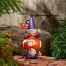 Clemson University, Garden Stack,84912stk