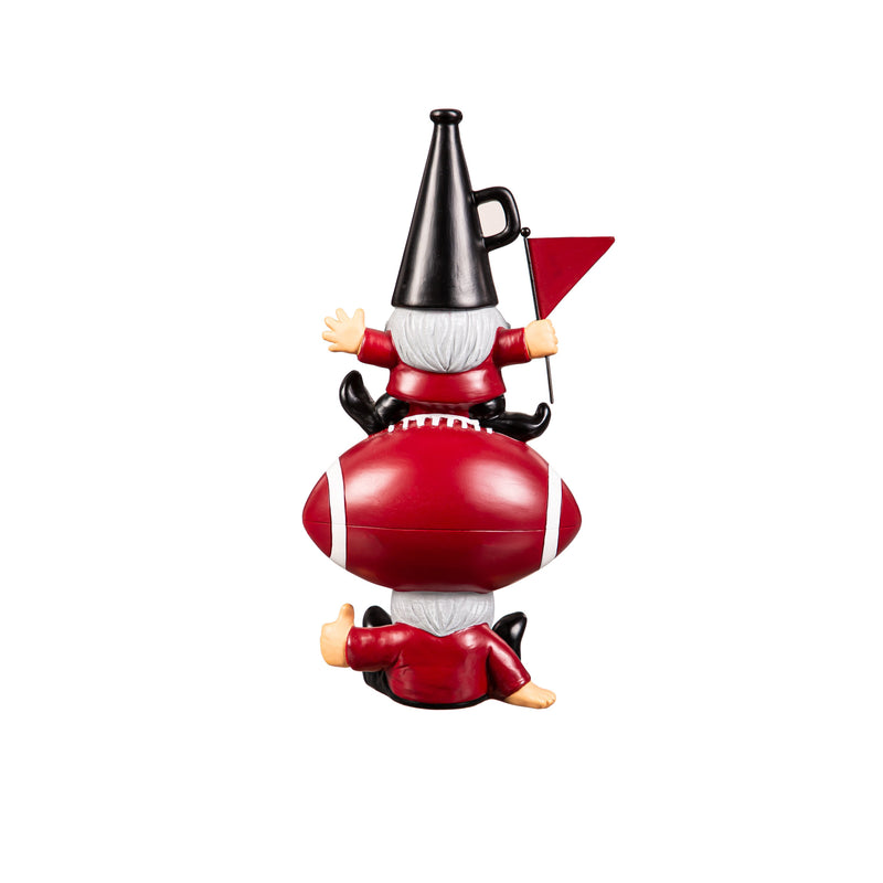 University of South Carolina, Garden Stack,84954stk