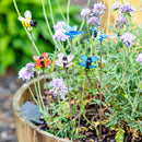 Pollinator Garden Stake, Glass Insect Plant Pick, Asst of 6