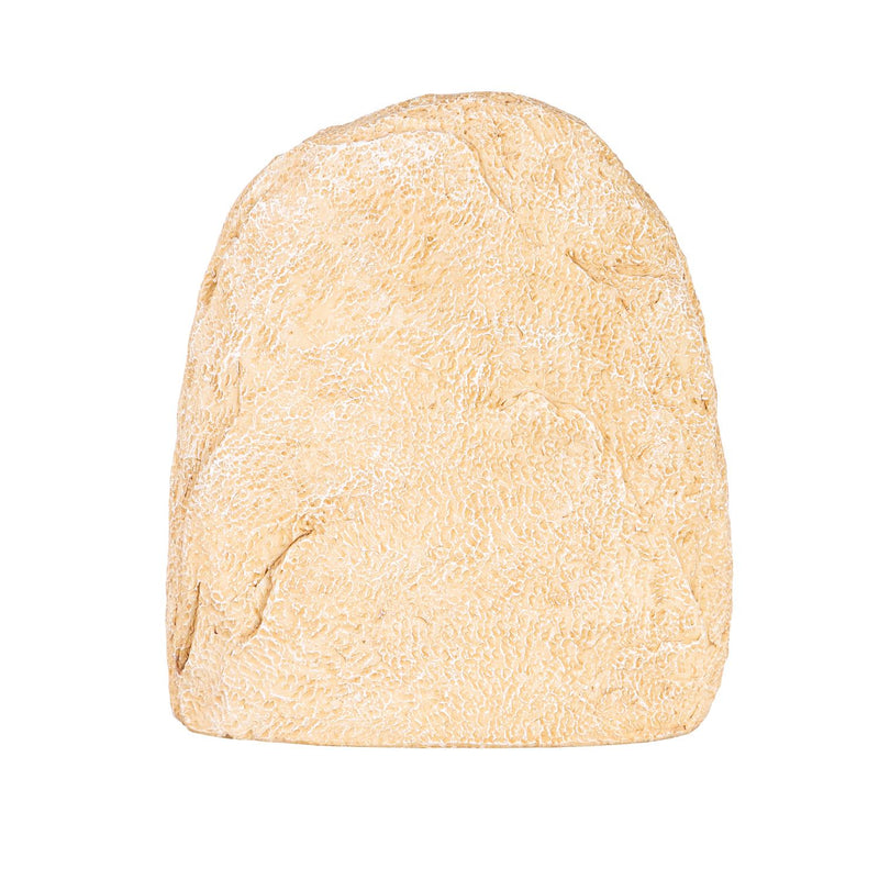 Springtime Tiding Stone, Wildflower