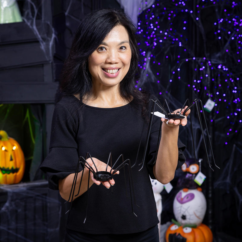 Spider Metal Candle Holder Set