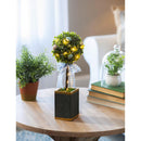 14" LED Topiary Tree in Pot with Ribbon Artificial Table Décor