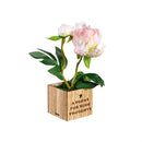 Spring Blooms in LED Wooden Pot
