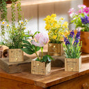 Spring Blooms in LED Wooden Pot