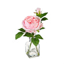 Artificial Cabbage Rose in Glass Vase Table Décor, Asst, 11.75"H