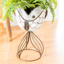 Metal Fish Chiller/Planter