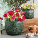 What She Shed Planters, Metal, Embossed with Perched Birds, Nested Set of 2