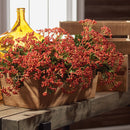 NAPA Home & Garden, VIBURNUM BERRY BRANCH