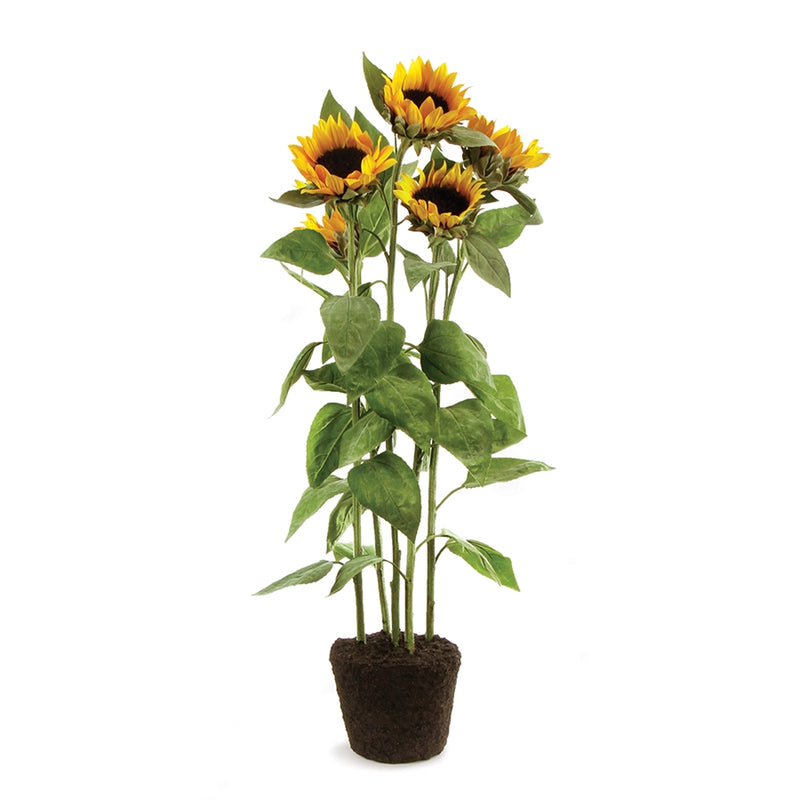 Napa Home & Garden Sunflower 42" Drop-in