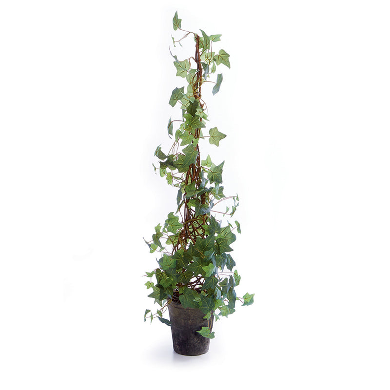 NAPA Home & Garden, IVY CONE TOPIARY POTTED 42",CC228