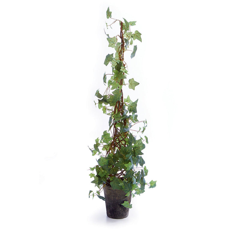 NAPA Home & Garden, Ivy Cone Topiary Potted Plant