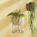NAPA Home & Garden, Boston Fern Drop-In Collection