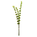 NAPA Home & Garden, BELLS OF IRELAND 46", BUNDLE OF 3,CC236