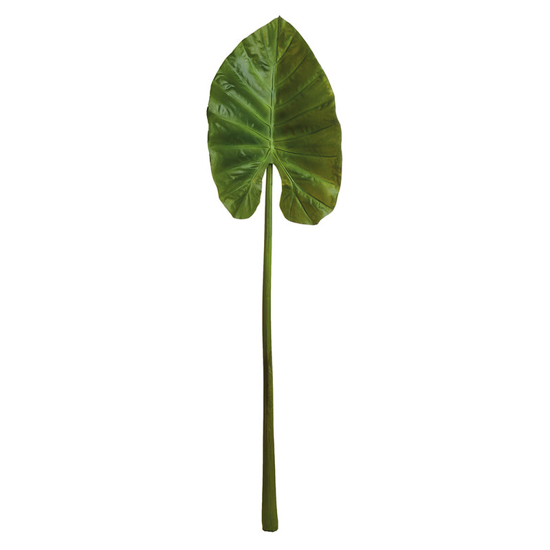 NAPA Home & Garden, ELEPHANT EAR STEM 45",CC237