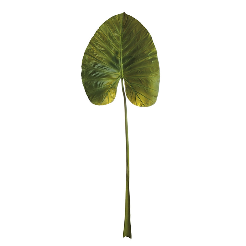 Napa Home Garden, GIANT ELEPHANT EAR 55" STEM,cc238