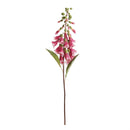 Napa Home Garden, FOX GLOVE 24" STEM FUCHSIA,cc246pkd