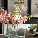 Napa Home Garden, FOX GLOVE 24" STEM PINK,cc246pkl