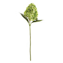 NAPA Home & Garden, Cone Hydrangea Stem