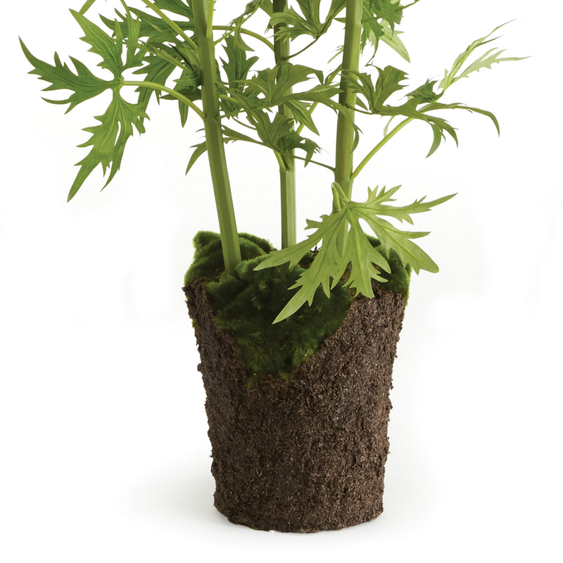 NAPA Home & Garden, DELPHINIUM DROP-IN 53",CC301