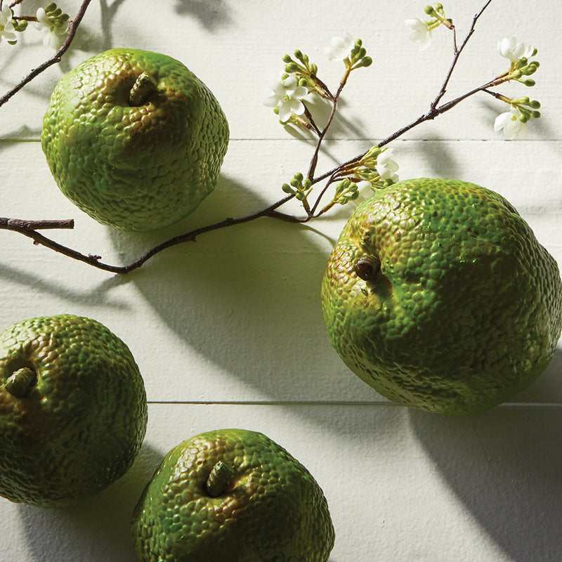 NAPA Home & Garden, HEDGE APPLE 4.5",CC305