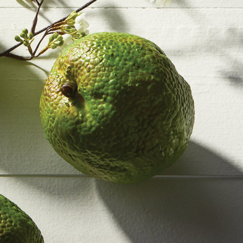 NAPA Home & Garden, HEDGE APPLE 3.5",CC306