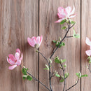 NAPA Home & Garden, JAPANESE MAGNOLIA BRANCH 54",CC321