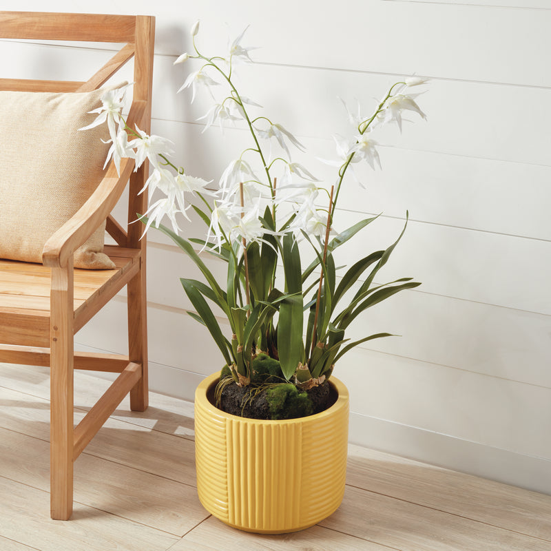 NAPA Home & Garden, SPIDER ORCHID DROP-IN 44",CC335